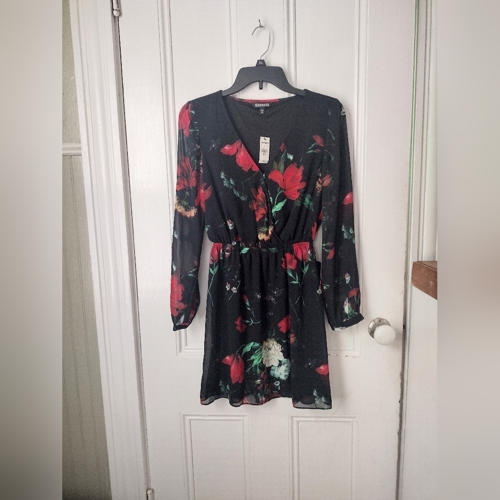 Express Black and Red Sheer Floral Dress